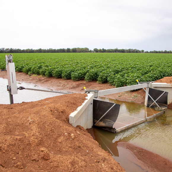 Improved Irrigation Outlet Design - Padman Stops High Flow Bay Outlet