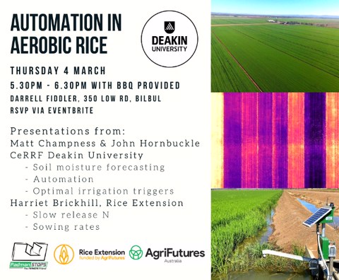 Aerobic Rice Field Walk