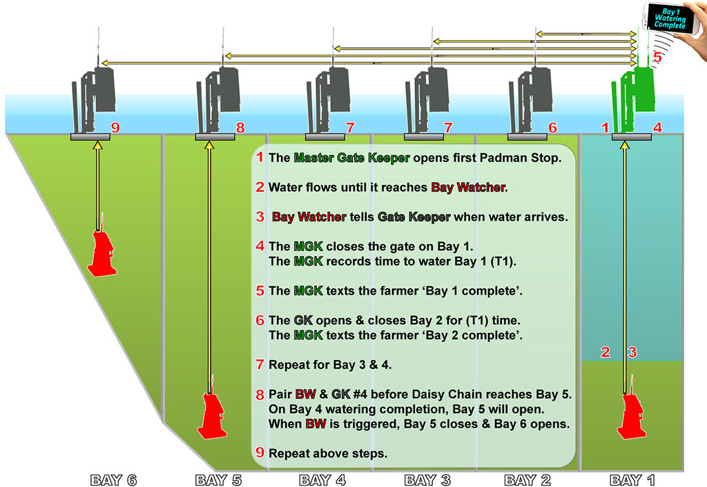 SamC Diagram