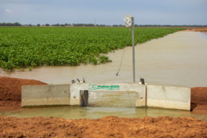 Open Weir Head Ditch Stops