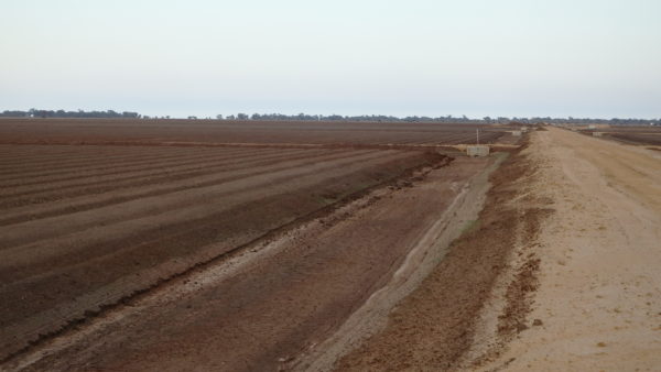P3300009