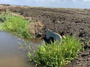 MaxiFlow 1200 Culvert Crossing