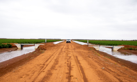 Dual F10 Flat Stop - Bay Outlet - Cotton Farm