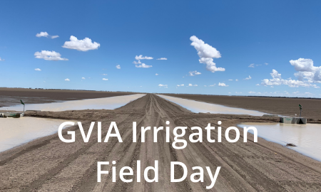 Irrigation field day