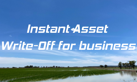 Instant asset write off