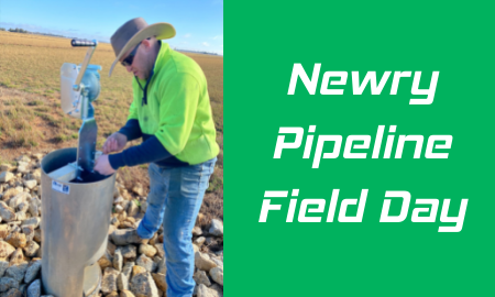 Newry Pipeline Field Day